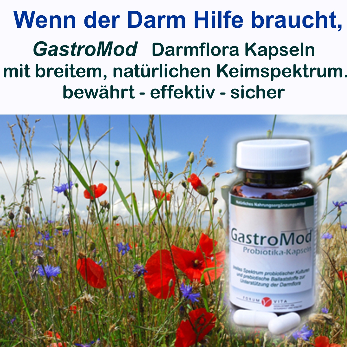 Gastro-Mod - 2er Sparpaket