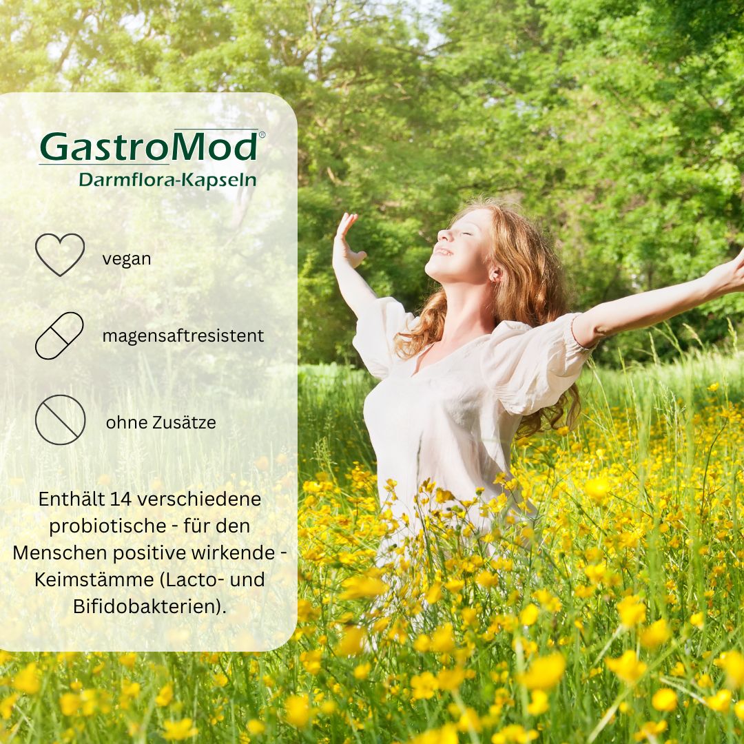 Gastro-Mod - 2er Sparpaket