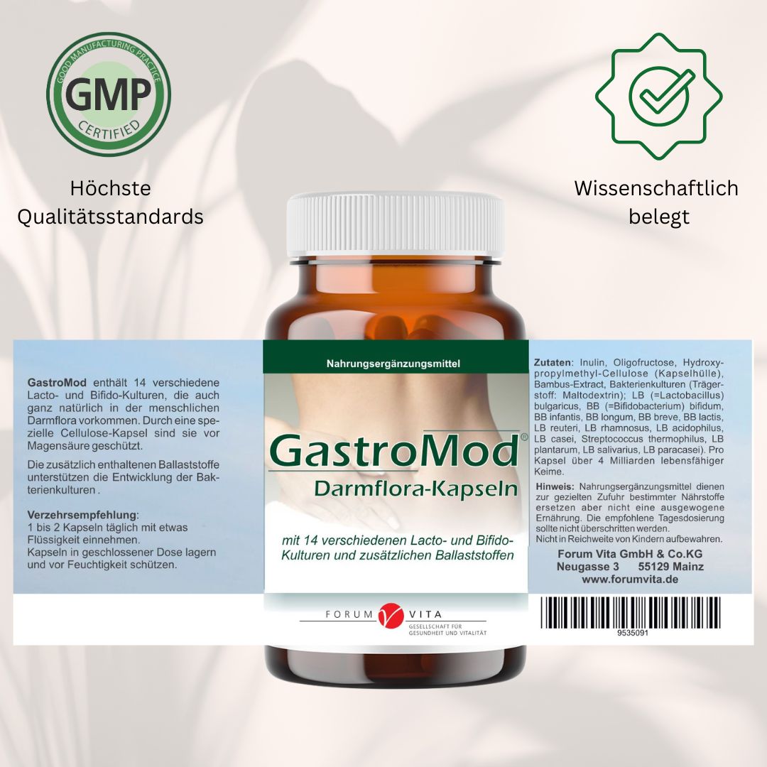 Gastro-Mod - 2er Sparpaket